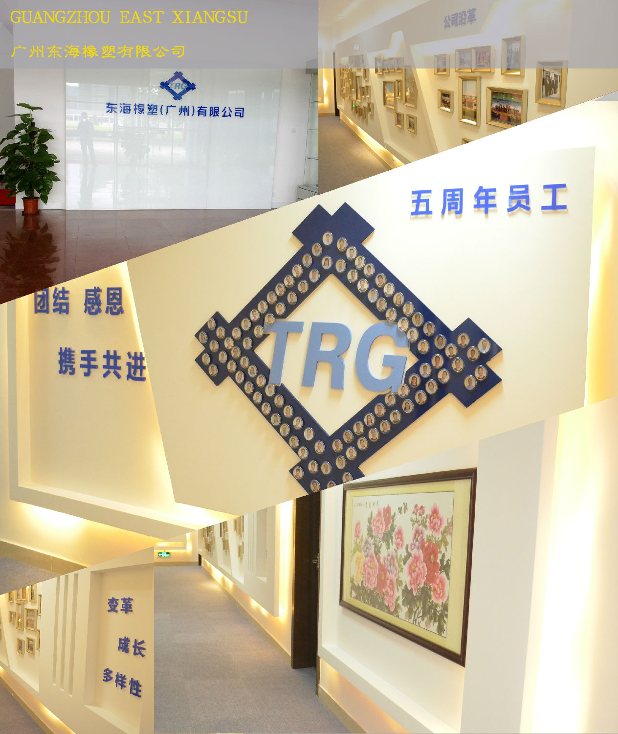 东海办公室番茄视频黄色APP下载链接.jpg