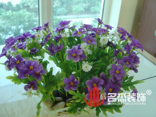 办公室番茄视频黄色APP下载链接.jpg