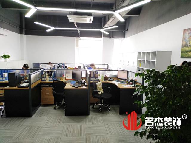 精信办公室番茄视频黄色APP下载链接完工照.jpg