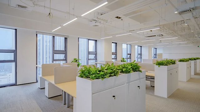 广州番茄视频APP污装饰设计公司图册