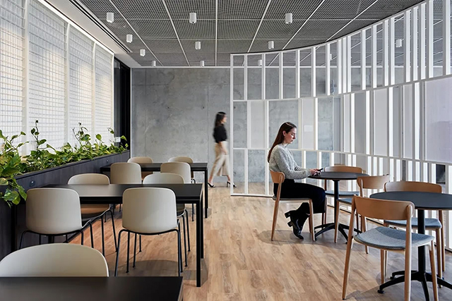 广州番茄视频APP污装饰设计公司图册